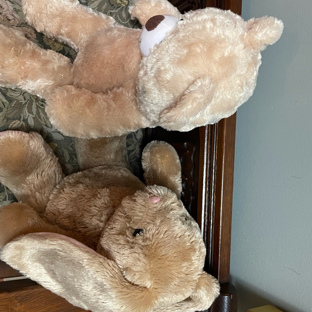 Build-A-Bear rabbit and bear set. - Picture 10 of 13
